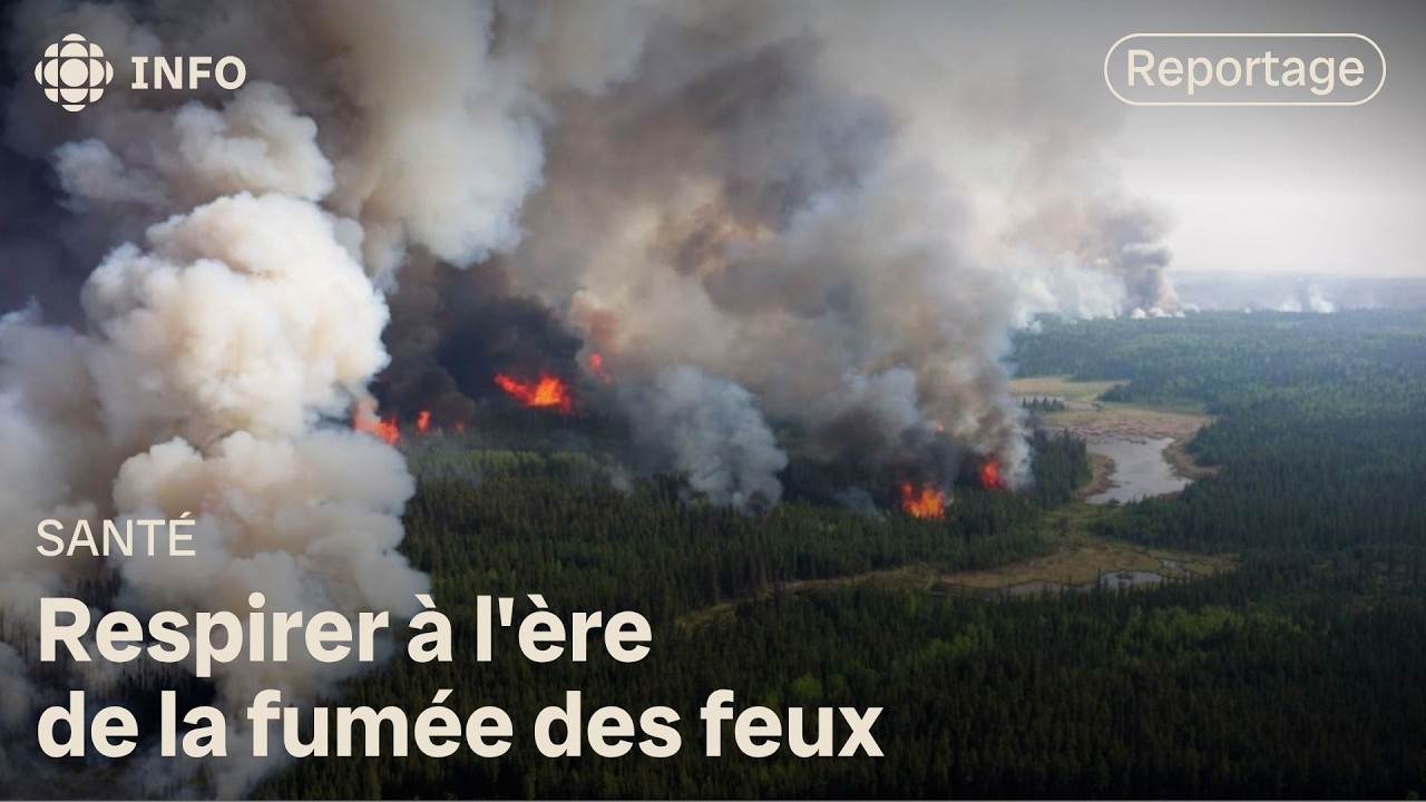 Image de la ressource